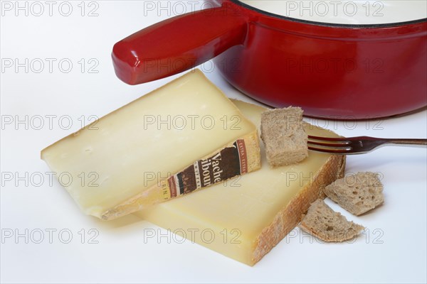 Ingredients for cheese fondue