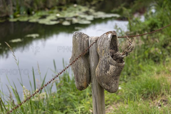 Clogs