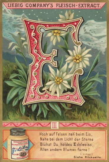 Picture series Letters and Plants