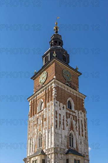 Town Hall Tower