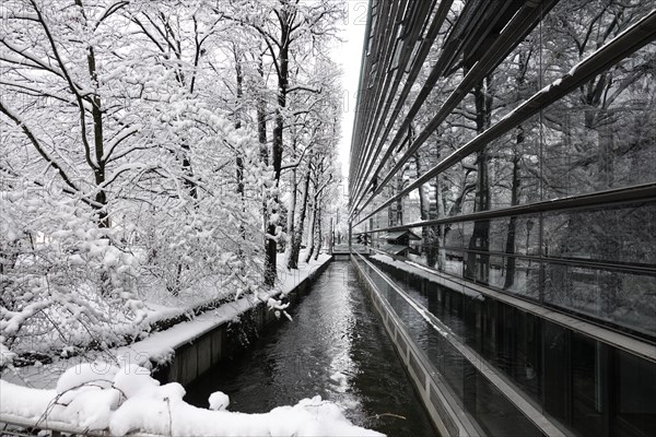 Glass facade of the Max Planck Institute for Innovation and Competition on Hofgartenstrasse