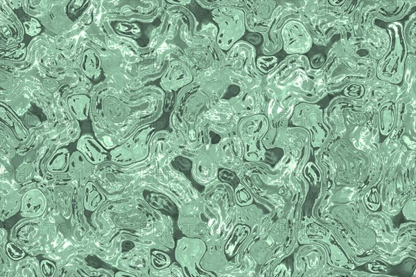 Shape of bacterial cell: cocci