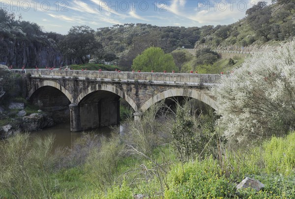 Roemische Bruecke im Monfrague Nationalpark