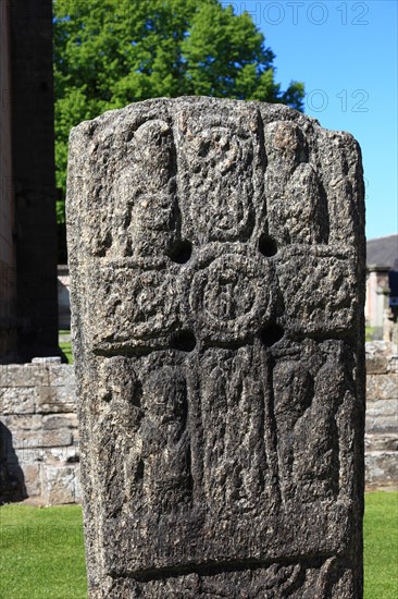 Elgin