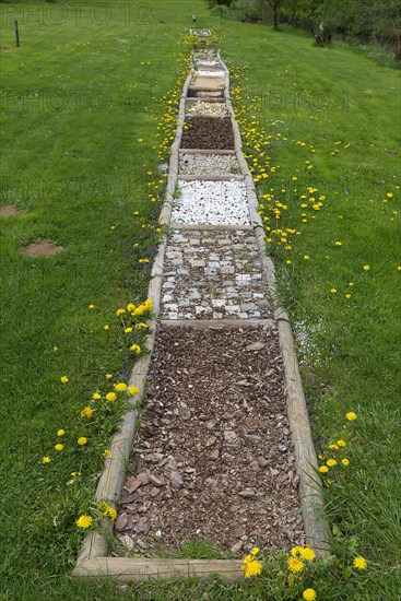 Tactile field of the senses in the Aufsesstal