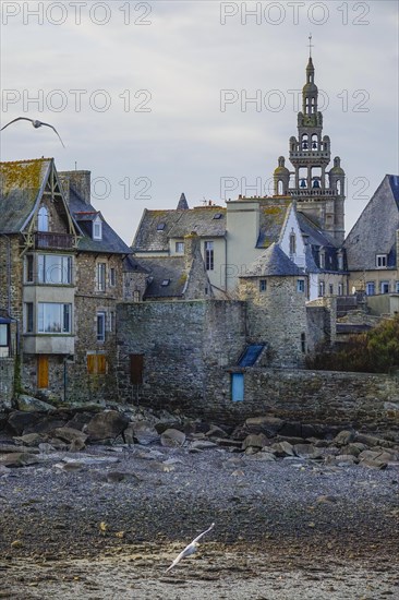 Old town of Roscoff with church Notre-Dame-de-Croaz-Batz at low tide