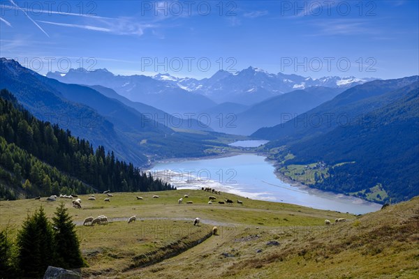Viewpoint of Lake Reschen Reservoir and Ortler Group from the Plamort plateau