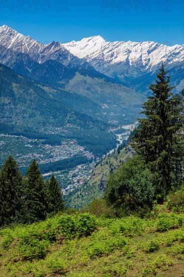 Spring meadow in Kullu valley in Himalaya mountains. Himachal Pradesh