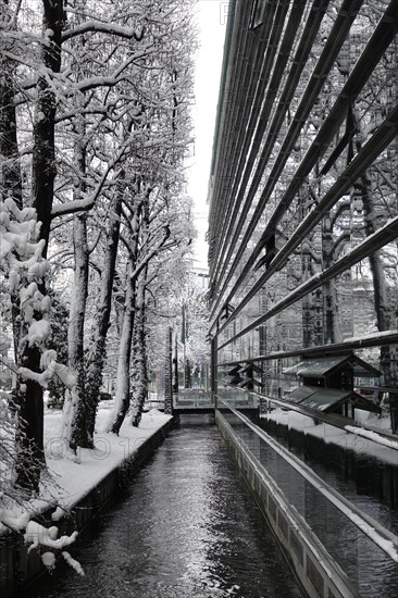 Glass facade of the Max Planck Institute for Innovation and Competition on Hofgartenstrasse
