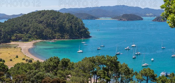 Boats anchored in the Bay of Islands