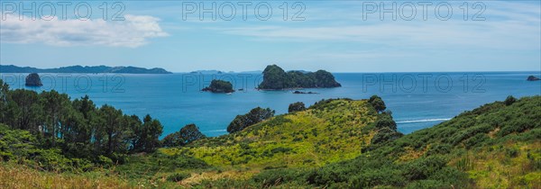 Coast at Cathedral Cove Walk