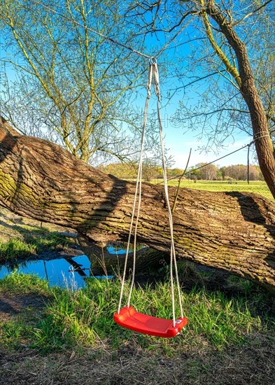 Red children's swing in the Tegeler Fliess in Luebars