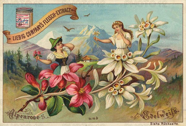 Series Flowers and Legends
