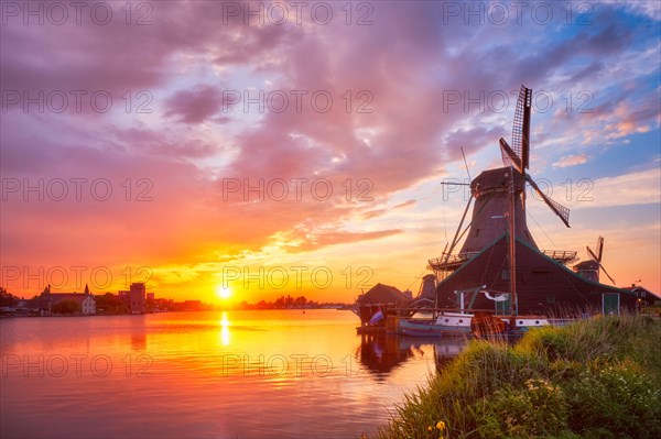 Netherlands rural scene