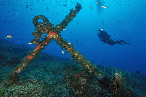 Old stick anchor