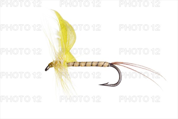 Fishing Fly isolated against a white background