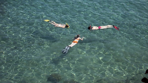 Three snorkellers swim on the surface and look at the seabed in a shallow bay with turquoise water