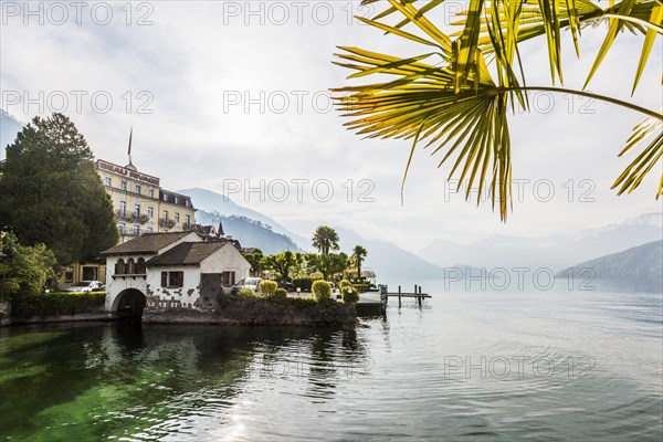Hotels and houses on the lake