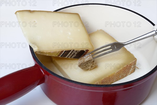 Ingredients for cheese fondue