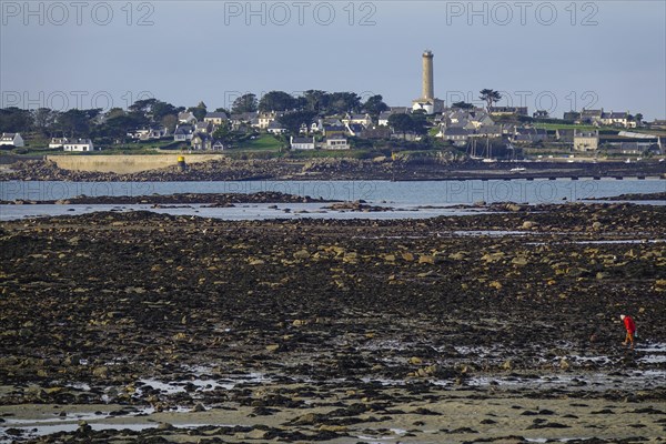 View at low tide from Roscoff to the island Ile de Batz with lighthouse