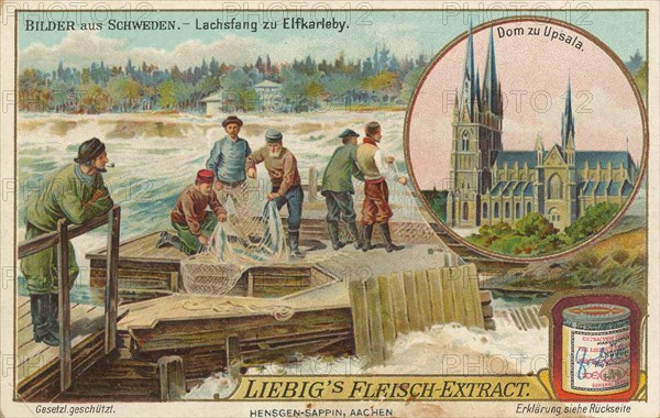 Series of pictures from Sweden