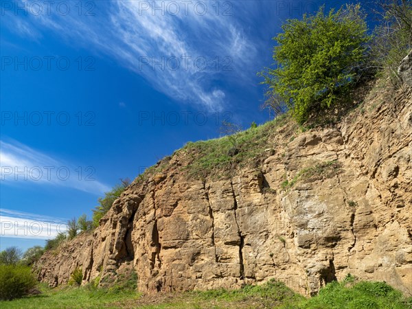 Steinbruch am Heeseberg