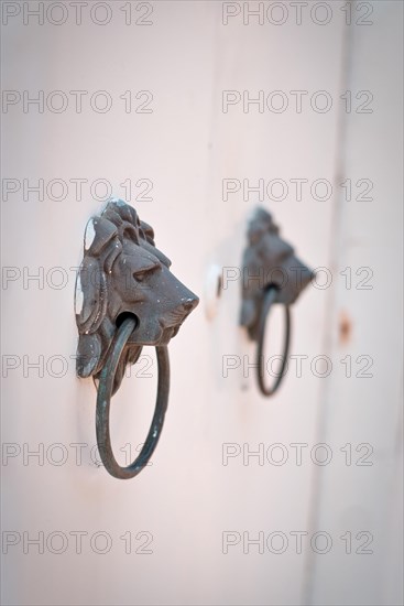 Classic lion head door knob