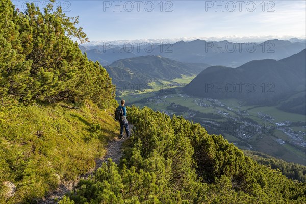 Hiker on hiking trail between mountain pines