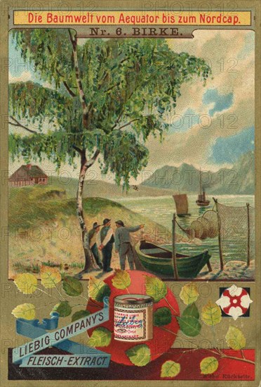 Series The world of trees from the equator to the North Cape