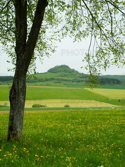 View of Hohenkarpfen