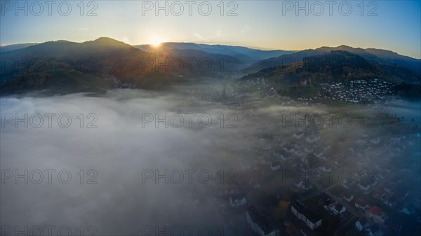 morning fog