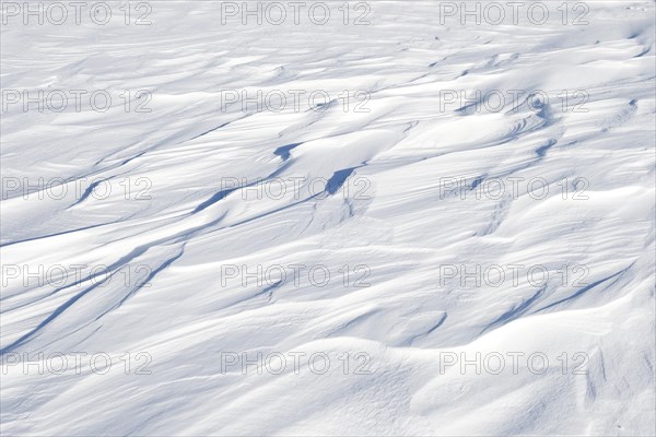 Snowdrift
