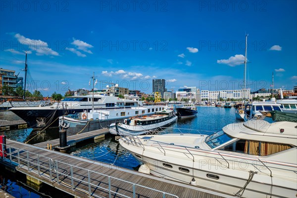 Yachts and boats moored in Willemdock in Antwerp