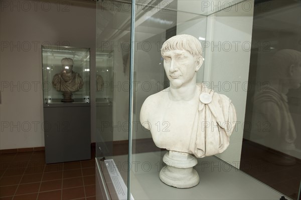 Bust