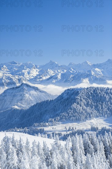 Aussicht von der Rigi