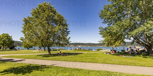 Liegewiese im oeffentlichen Uferpark von Bodmann