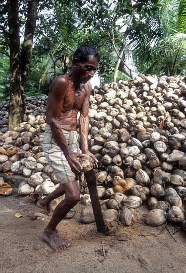 Removing husk of the coconut