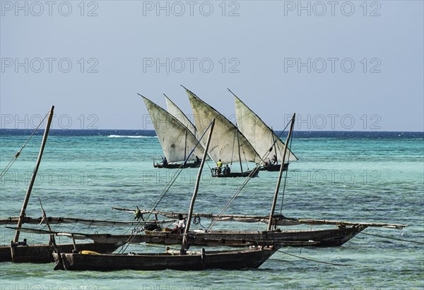 Fischerboote