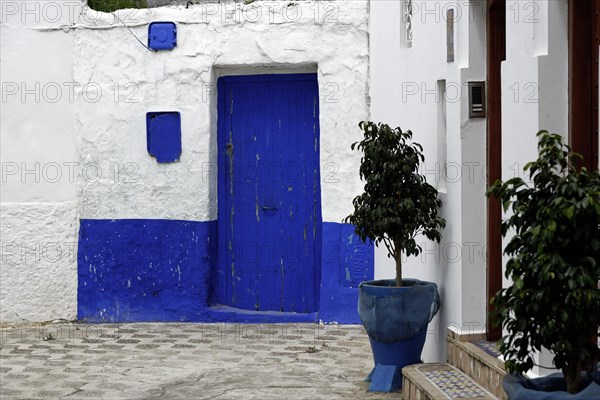 House front with blue entrance door