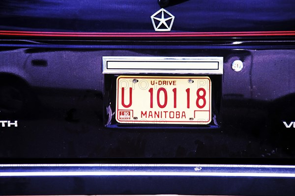 License Plate