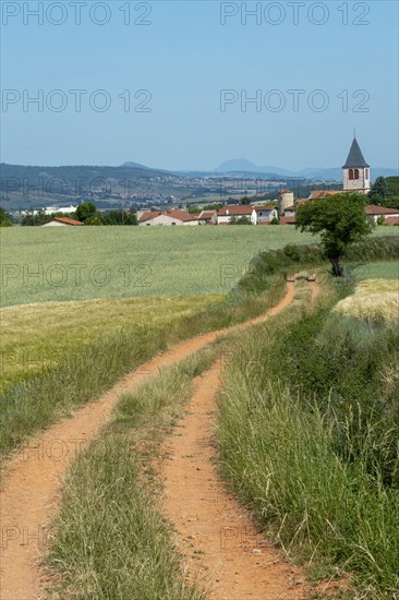 Bournoncle Saint-Pierre village near Brioude city. Haute Loire departement. Auvergne Rhone Alpes. France