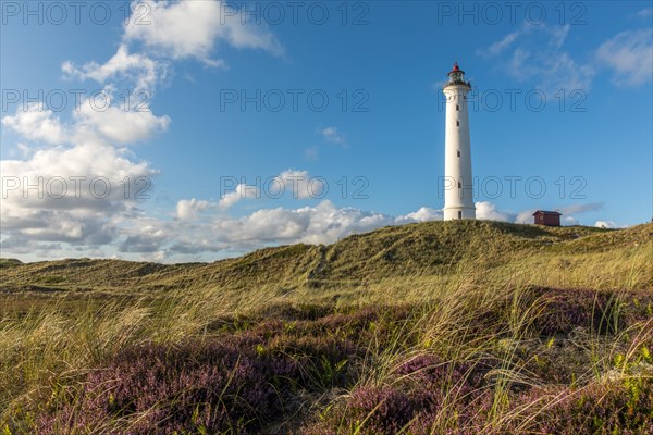 Evening atmosphere at Lyngvig Fyr lighthouse