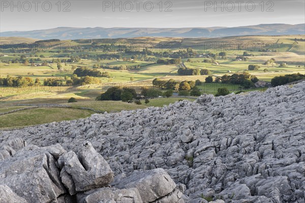 View of limestone pavement at sunrise