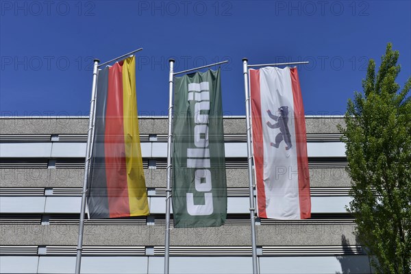 Collonil