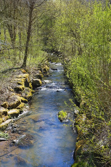 Katzenbach