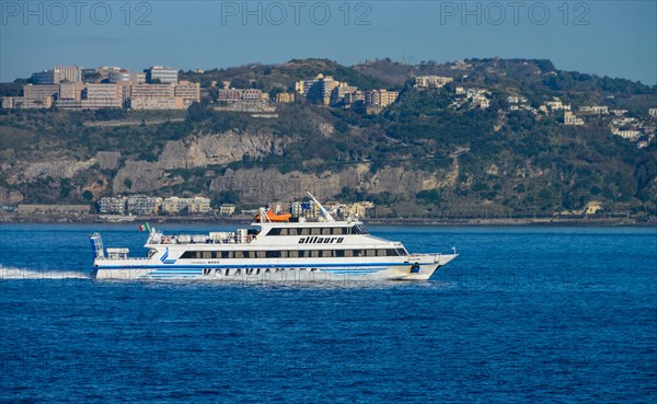 Fast ferry