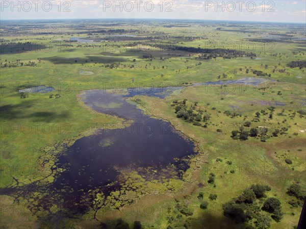 Aerial view of the Okavango Delta