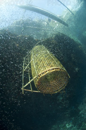 Fish basket being lifted onto fishing boat