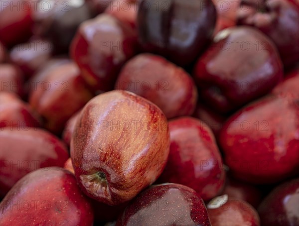 Apples at a market stall on the grounds of the asparagus farm in Klaistow