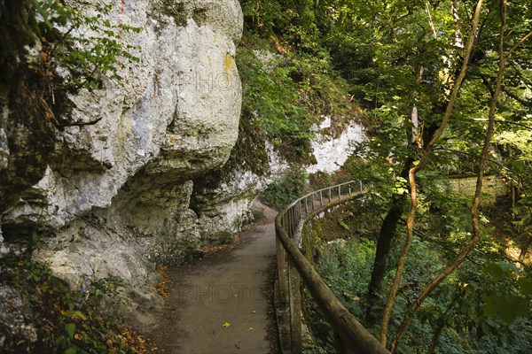 Wanderweg im Fuerstlichen Park Inzigkofen
